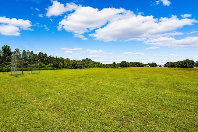 3549 Cardinal Feather Dr, House other with 3 bedrooms, 3 bathrooms and null parking in LAND O LAKES FL | Image 48