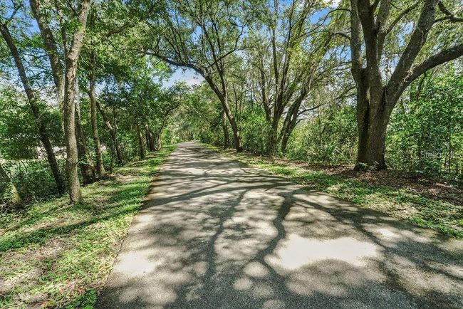 2923 Timber Hawk Cir, House other with 3 bedrooms, 2 bathrooms and null parking in OCOEE FL | Image 17