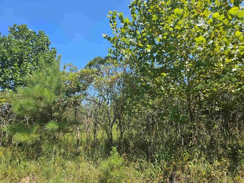 0 Hubanks Rd, Finger, TN, 38334 | Card Image