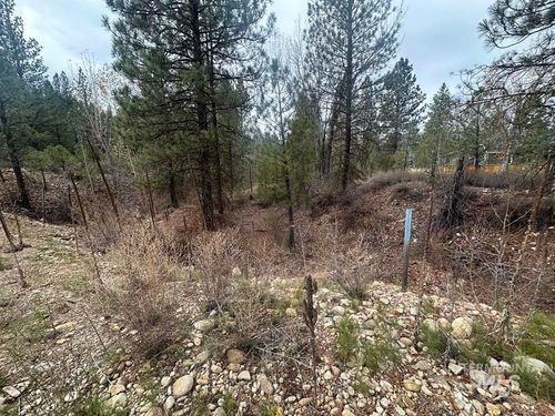 L51 Lila Way, Idaho City, ID, 83631 | Card Image