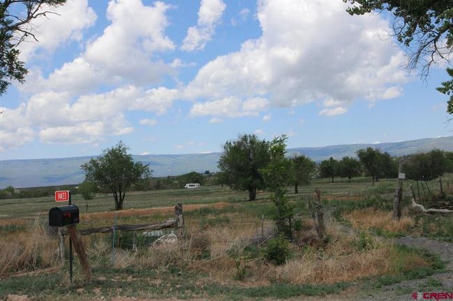 14433 2600 Rd, Home with 0 bedrooms, 0 bathrooms and null parking in Cedaredge CO | Image 5