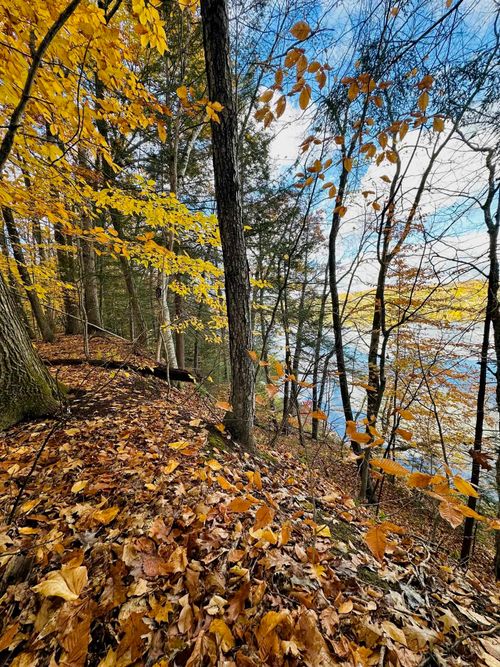 476 Missing Link Rd, Springfield, VT, 05156-9225 | Card Image