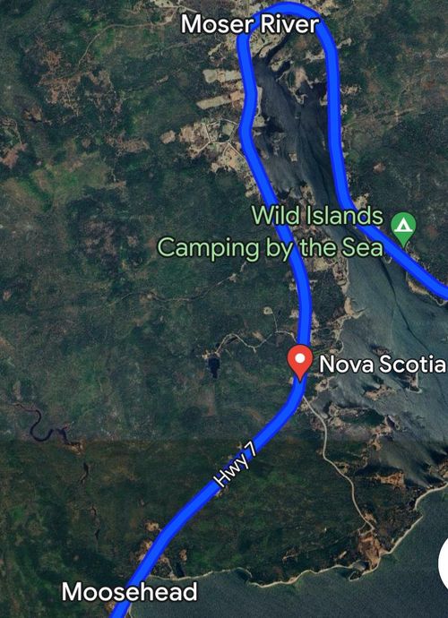 {{alt}} | Card Image