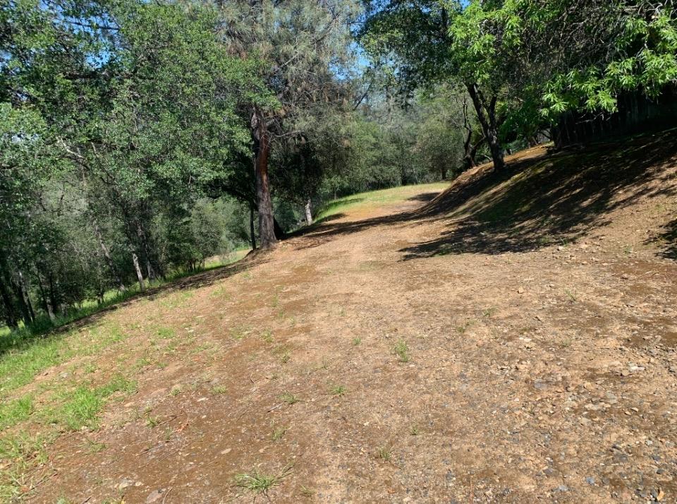 Land in Oroville 2