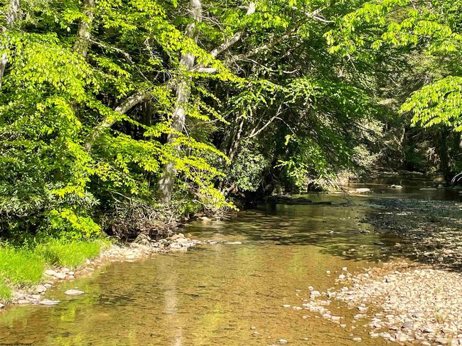 Lot 93 Laurel Loop   Whitewater Preserve Loop, Home with 0 bedrooms, 0 bathrooms and null parking in Bruceton Mills WV | Image 12