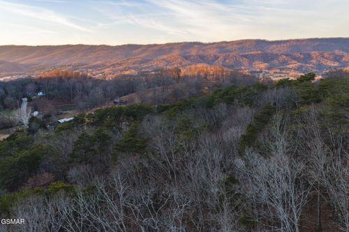 1655 Lester Whitt Rd, Rutledge, TN, 37861-4724 | Card Image