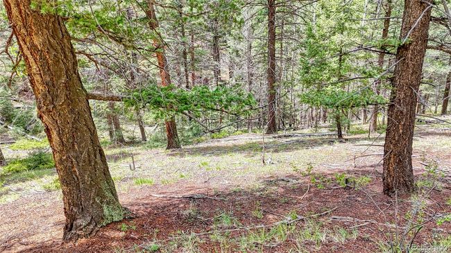 94 Mariposa Cir, Home with 0 bedrooms, 0 bathrooms and null parking in Cripple Creek CO | Image 4