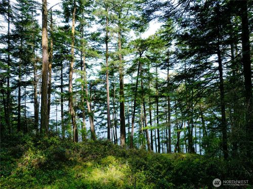 0 Lot 7 Pass View Rd, Decatur Island, WA, 98221-4129 | Card Image
