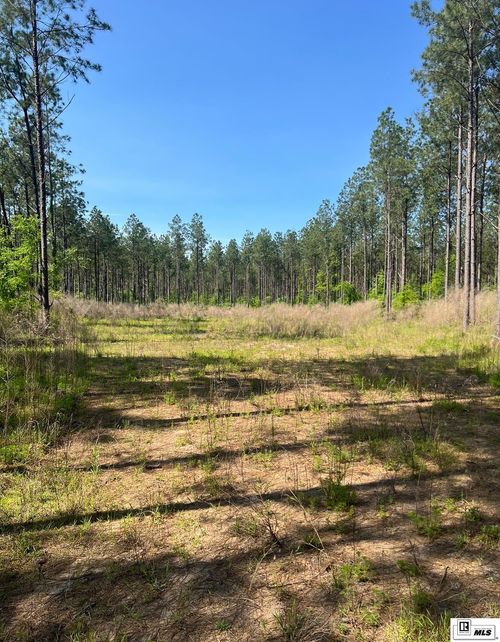 0000 Highway 548, Chatham, LA, 71226 | Card Image