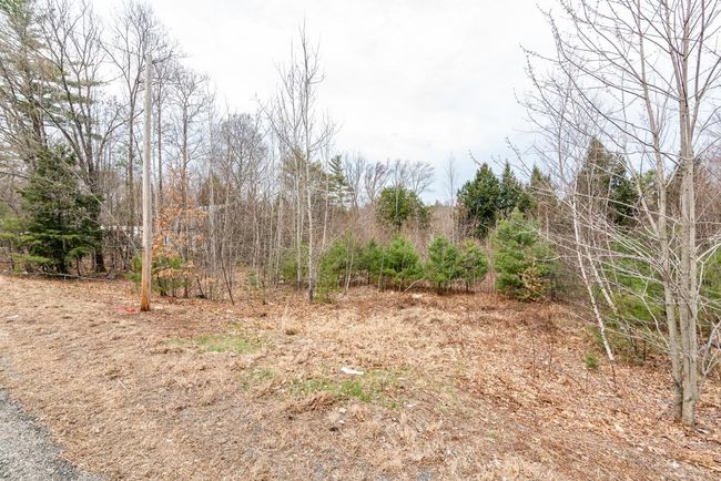 00 Nh Route 11, Home with 0 bedrooms, 0 bathrooms and null parking in Farmington NH | Image 6