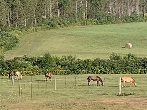 21237 Concession 6 Rd, North Lancaster, ON, K0C1Z0 | Card Image