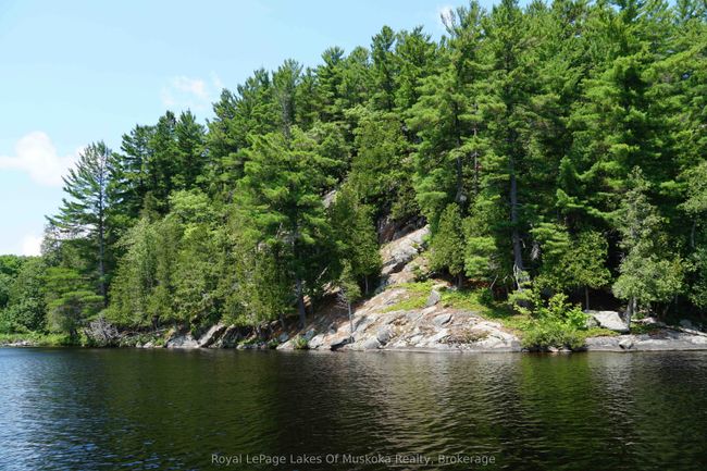 29 Thorburn Lane, Home with 0 bedrooms, 0 bathrooms and null parking in Huntsville ON | Image 12