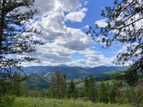 4xx R Vista View Ln, Kettle Falls, WA, 99138-9941 | Card Image