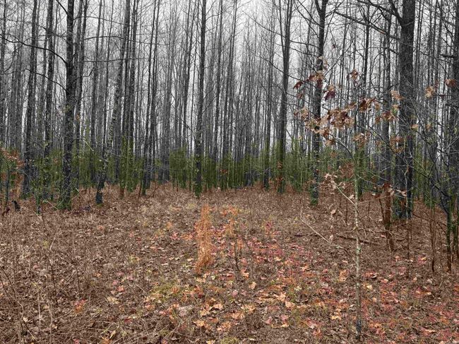 000 Ashley Road 912, Home with 0 bedrooms, 0 bathrooms and null parking in Hamburg AR | Image 33