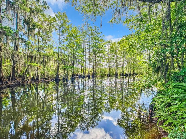 3175 N Wheaton Pt, House other with 3 bedrooms, 3 bathrooms and null parking in Hernando FL | Image 67