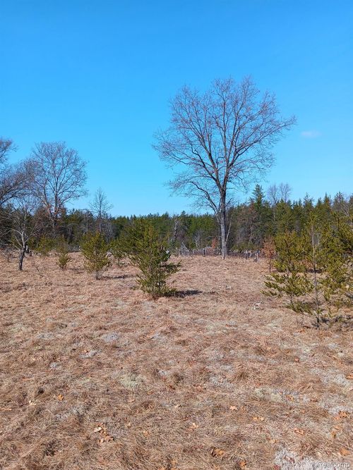 0000 Cedar Creek Rd, Wellston, MI, 49689 | Card Image