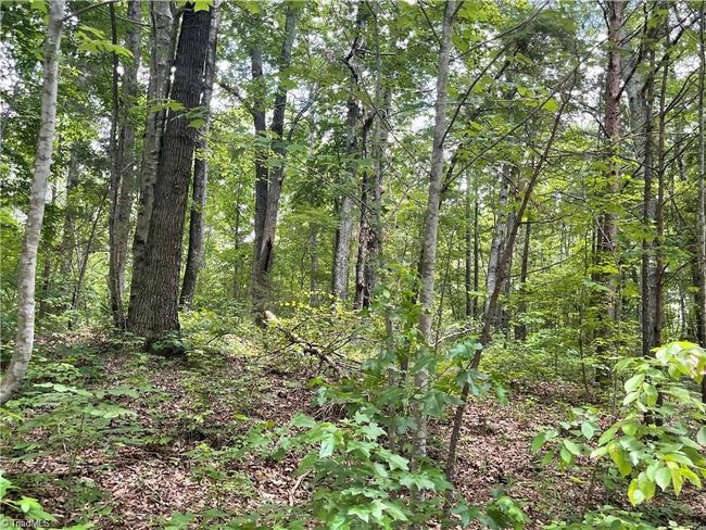 17 Old Mill Rd, Home with 0 bedrooms, 0 bathrooms and null parking in Providence NC | Image 6
