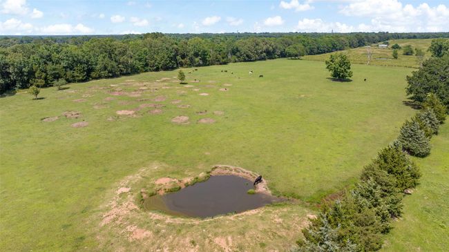 555 Us Business Highway 82, House other with 4 bedrooms, 2 bathrooms and null parking in Avery TX | Image 23