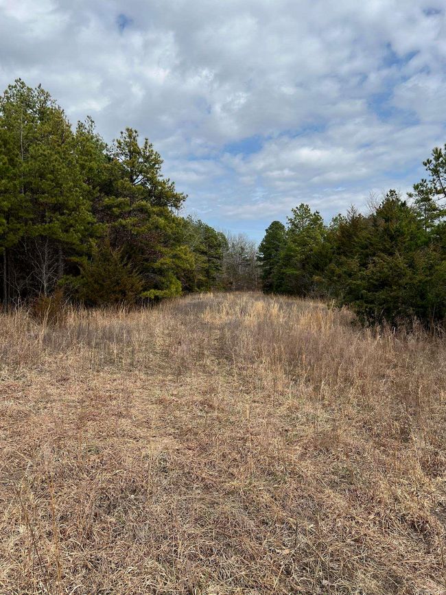 00 Yates Ln, Home with 0 bedrooms, 0 bathrooms and null parking in Tumbling Shoals AR | Image 16