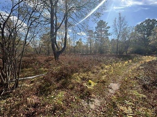 11570 Behlke Rd Se, Fife Lake, MI, 49633-8102 | Card Image