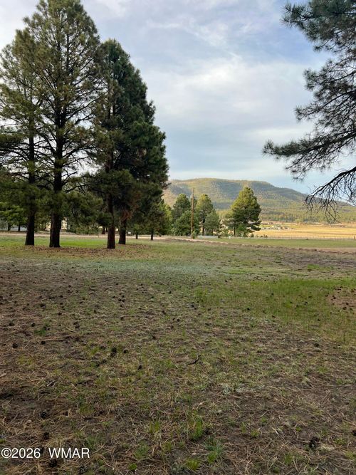 18 County Road 2063, Alpine, AZ, 85920 | Card Image