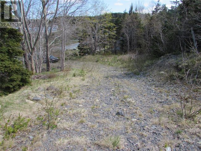 37-41 A Conception Bay Highway, Home with 0 bedrooms, 0 bathrooms and null parking in Harbour Main NL | Image 7
