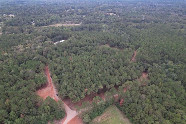 00 Burgetown Rd, Home with 0 bedrooms, 0 bathrooms and null parking in Carriere MS | Image 8