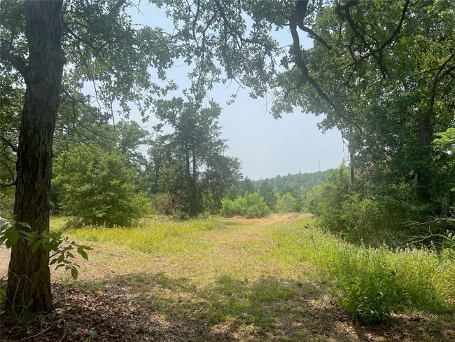 330 Powell Rd, Home with 0 bedrooms, 0 bathrooms and null parking in Smithville TX | Image 18