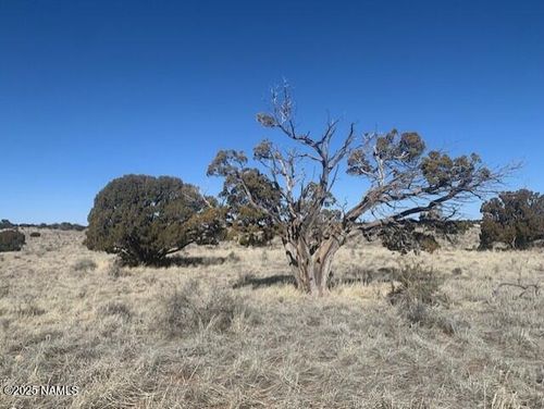 790 S Wyandotte Rd, Williams, AZ, 86046 | Card Image