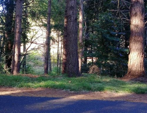 640 Spring Rd, Whitethorn, CA, 95589-8927 | Card Image