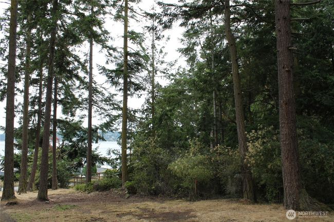 85 Quinault Loop, Home with 0 bedrooms, 0 bathrooms and null parking in Port Townsend WA | Image 18