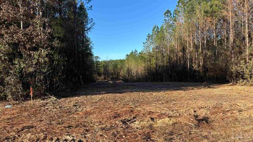 lot 59 Straw Bridge Rd, Jay, FL, 32565 | Card Image