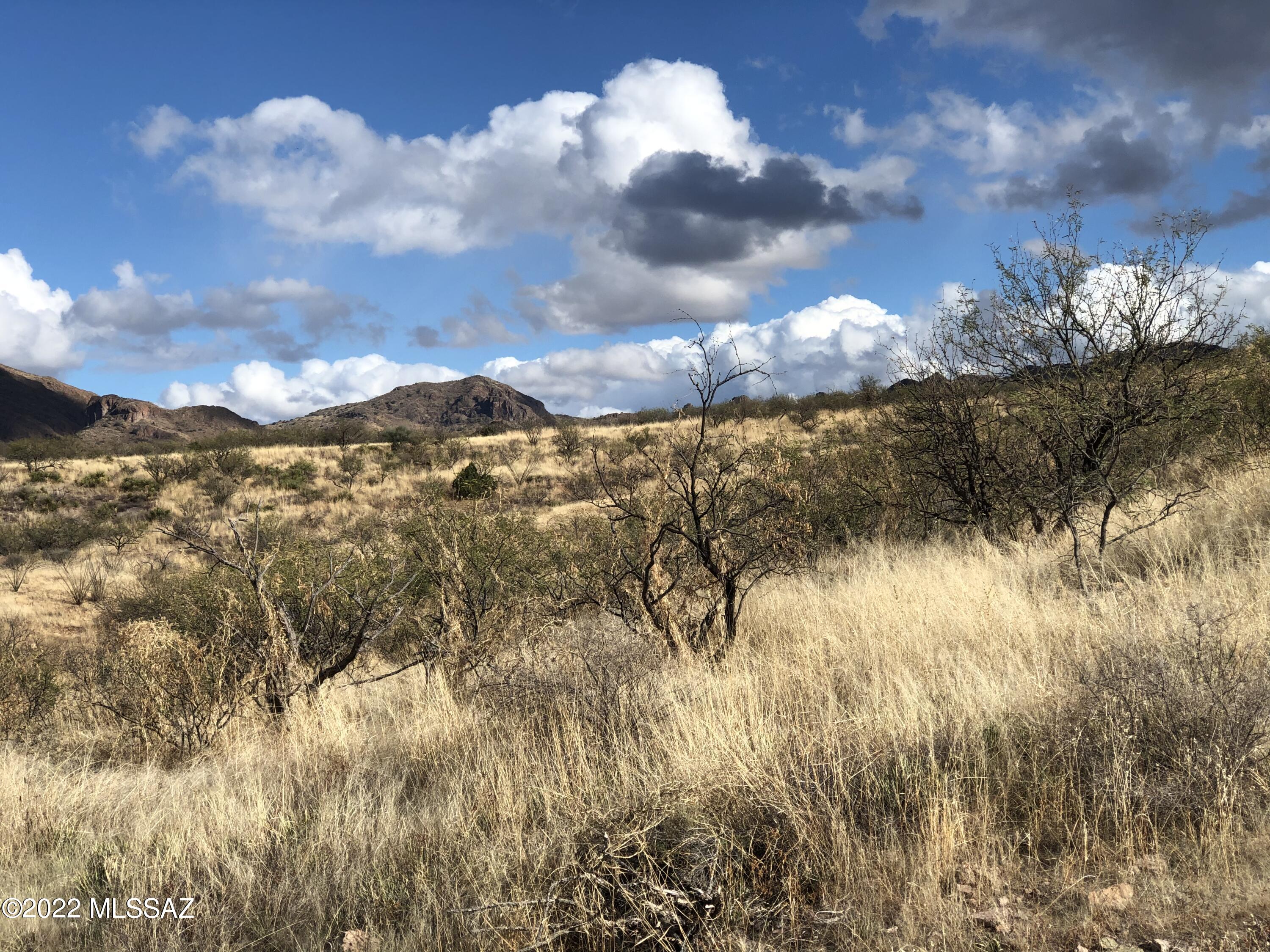 Land in Rio Rico 5