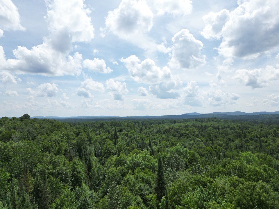 Land in Sainte-Anne-du-Lac 4