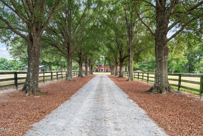 22-web-or-mls-DSC06654 | Image 10