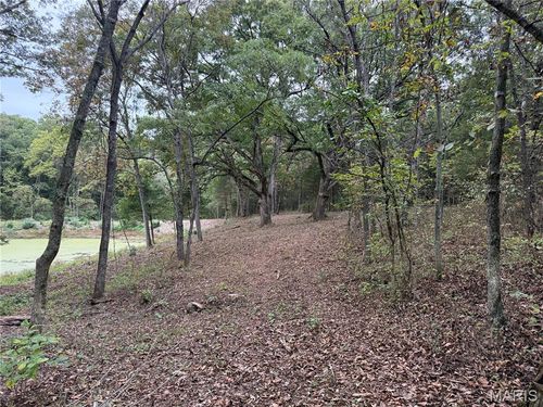 0 Highway Dd, Truxton, MO, 63381 | Card Image