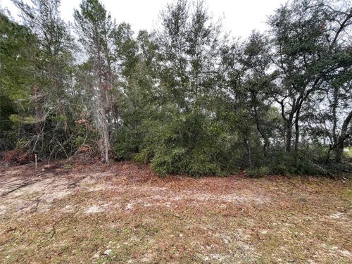 Lot 3 Marion Oaks Lane, OCALA, FL, 34473 | Card Image