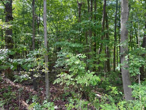 0 Burton Rd, Capac, MI, 48014 | Card Image