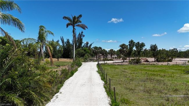 View of road | Image 5