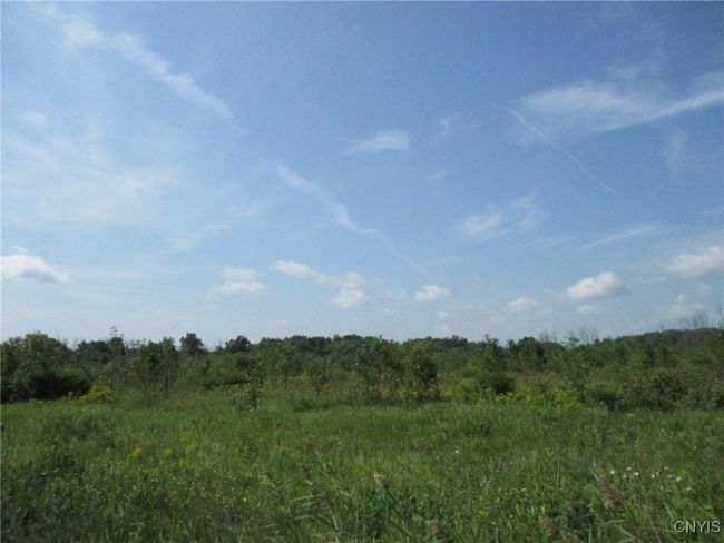 1 Hitchcock Point Road, Home with 0 bedrooms, 0 bathrooms and null parking in Sullivan NY | Image 13