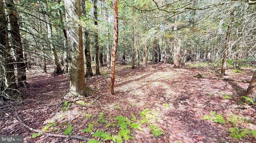 212 Aquaris Ln, Lake Ariel, PA, 18436 | Card Image