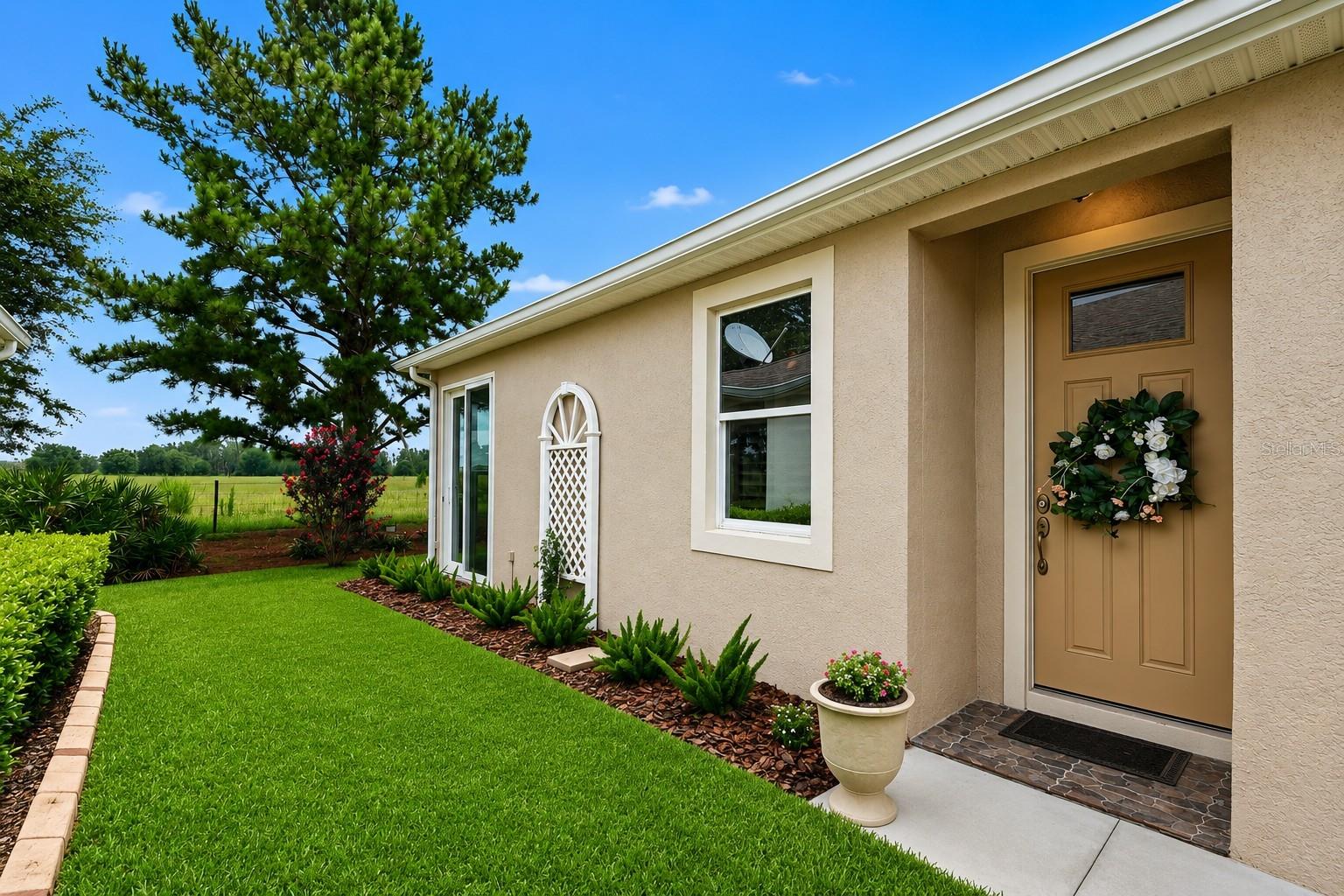 Residential in WESLEY CHAPEL 5