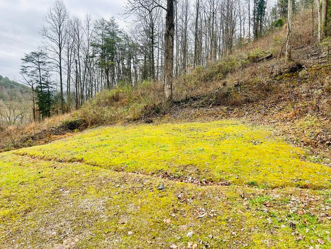 11571 N Highway 11, House other with 3 bedrooms, 1 bathrooms and null parking in Oneida KY | Image 29
