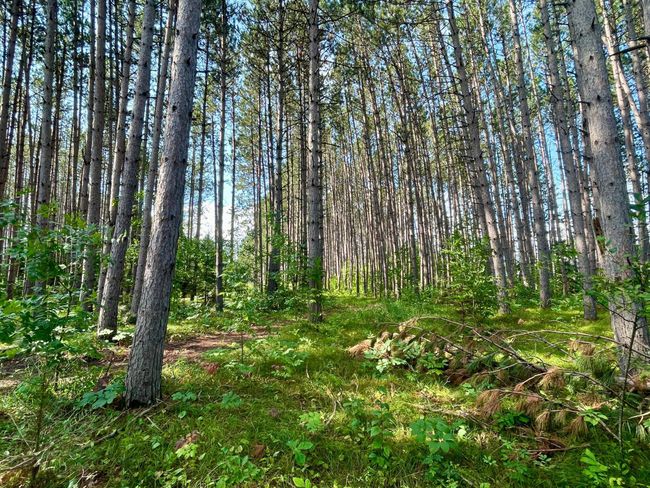 1.6 Acres.jpeg | Image 25