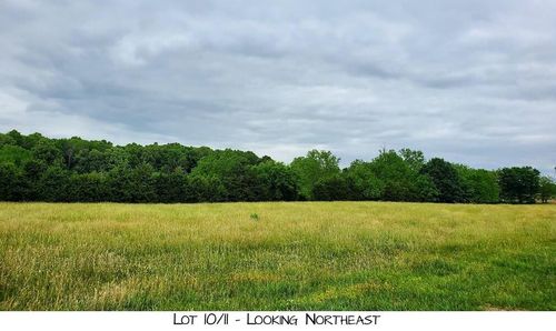 Lot 10 Pleasant View Rd, Brighton, MO, 65617 | Card Image