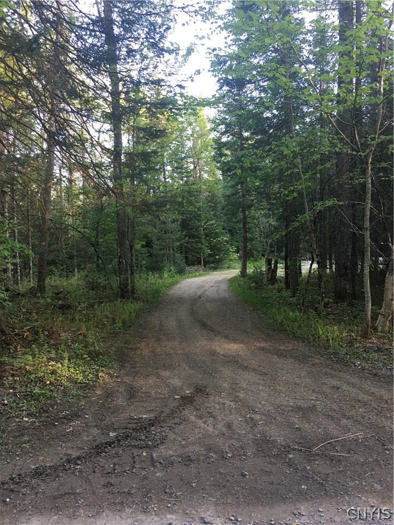 165 Little Beaver Lake Road W, Sold in Forestport Zoocasa