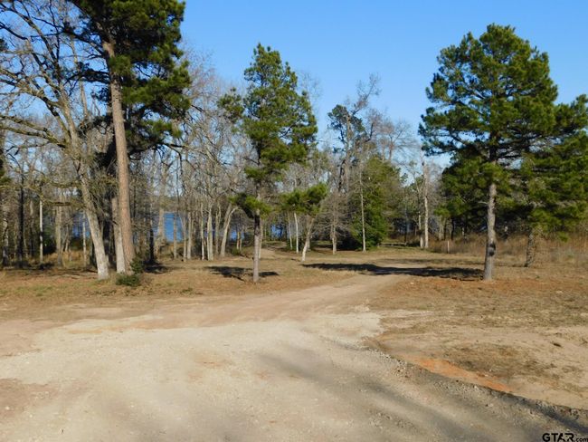 3126 Shadow Pine Dr, Home with 0 bedrooms, 0 bathrooms and null parking in LaRue TX | Image 6