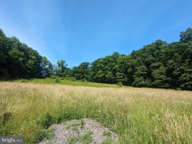62 Vandermark Rd, House other with 3 bedrooms, 3 bathrooms and null parking in SHICKSHINNY PA | Image 75