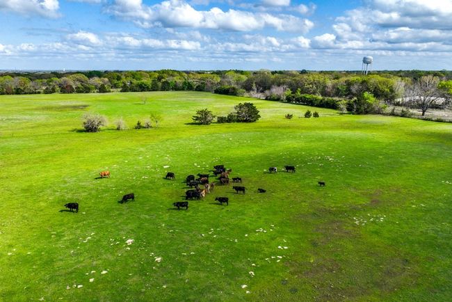 00 State Highway 274, Home with 0 bedrooms, 0 bathrooms and null parking in Kemp TX | Image 10