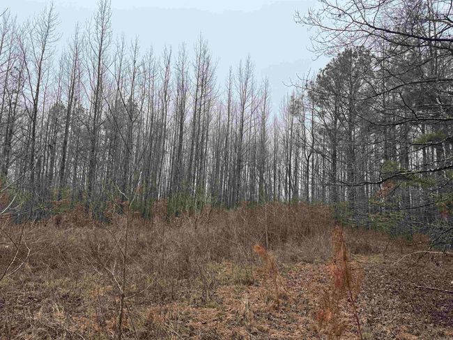 000 Ashley Road 912, Home with 0 bedrooms, 0 bathrooms and null parking in Hamburg AR | Image 36